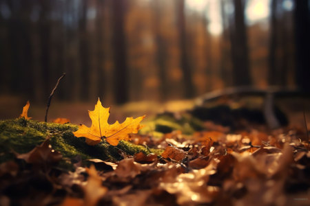Generative AI : Dry autumn leaf on grass Beautiful golden leaves in the grass in the sun Sheet on the grass at sunsetの素材