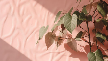 Generative AI : Shadow of tropical leaves on pink wall with a beautiful plaster textureの素材