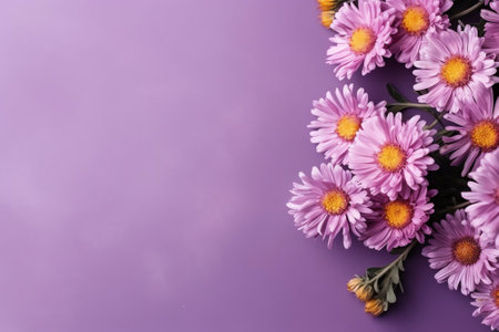 Generative AI : Beautiful flowers macro abstract art background with a soft focus Pink and purple flowers aster in nature on lilac backgroundの素材