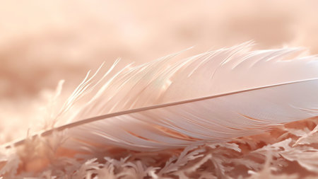 Generative AI : Gentle white air feather with drops of dew on a beautiful soft background Soft dreamy tender artistic image form for postcard or wallpaper for desktop Macroの素材