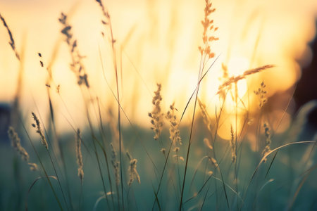Generative AI : Wild grass on a meadow in nature with mosquitoes with soft focus in summer in spring and blurred macro background Gentle air light fresh artistic image toned in bluの素材