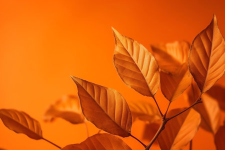 Generative AI : A bouquet of orange autumn leaves on a blurred natural gently green background closeup Beautiful autumn leaves glow in the sunの素材
