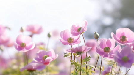 Generative AI : Beautiful pink flowers anemones fresh spring morning on nature with ladybug on blurred soft blue green background macroの素材