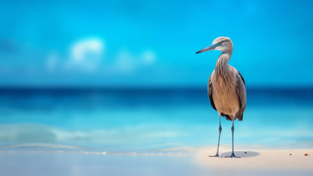 Generative AI : Beautiful white heron stands on golden beach with palm trees selective focus Fantastic terrific dreamlike romantic landscape Concept of an ideal beach exotic vacatiの素材