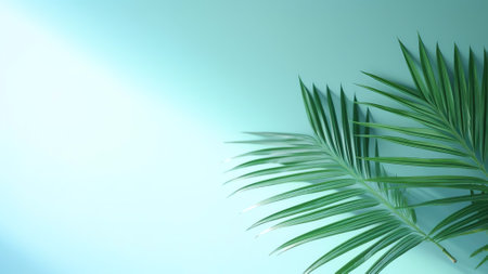 Generative AI : Blurred shadow from palm leaves on the light blue wall Minimal abstract background for product presentation Spring and summerの素材
