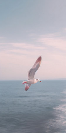 Generative AI : A seagull is flying in the sky above the sea at dawn Beautiful sky with clouds at sunsetの素材