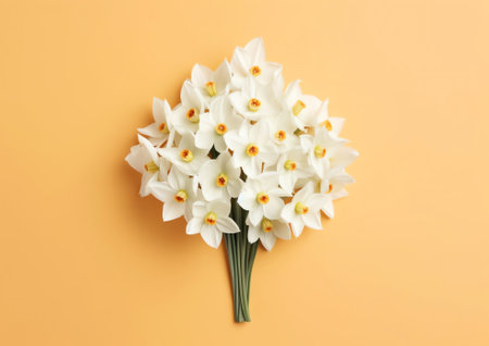 Generative AI : White delicate fresh flowers of daffodils in the spring closeup macro on a light green background in nature in the rays of sunlight Beautiful refined elegant daintyの素材
