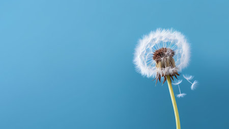 Generative AI : Seeds of a dandelion flower fly in the wind on a blue and purple background closeup macro Spring summer nature template for text and designの素材