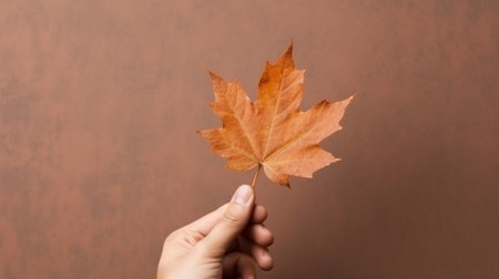 Generative AI : Close up of a autumn leaf held by a girl Concept about autumnの素材
