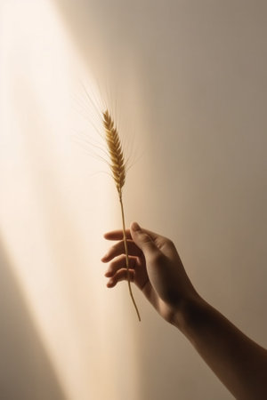 Generative AI : Closeup of a hand touching wheat in a field  caucasian people  nature agricolture and lifestyle conceptの素材