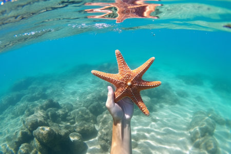 Generative AI : star fish on handの素材