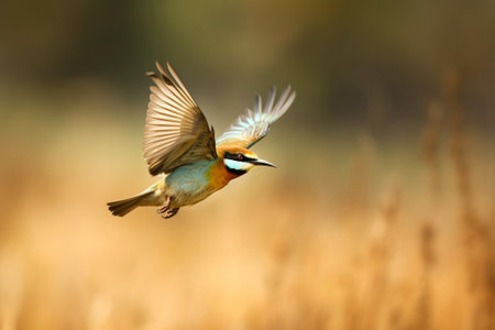 Generative AI : Flying Bird Bluetailed Beeeaterの素材