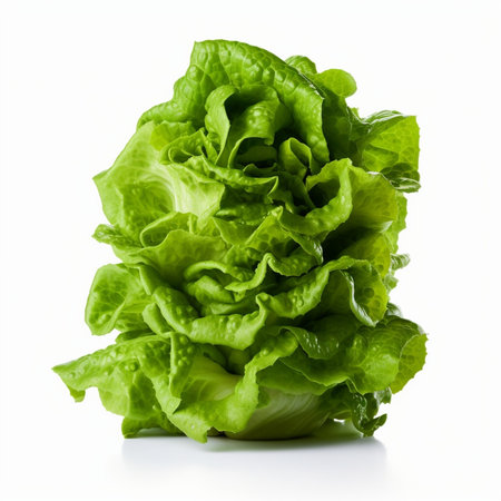 Generative AI : Lettuce salad on isolated on white backgroundの素材
