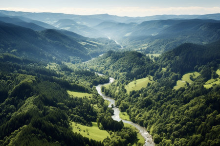 Generative AI : Atlantic forest in Mao River Canyon Ribeira Sacra Galicia Spainの素材