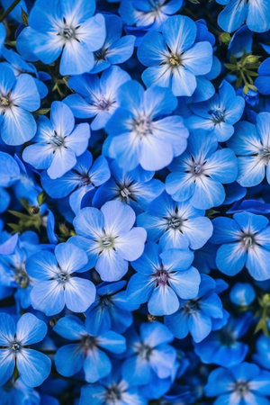 Generative AI : Anchusa azurea blue wild flowers backgroundの素材