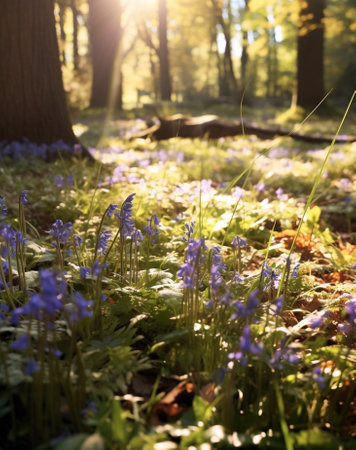 Generative AI : forest background light grass and bluebellsの素材
