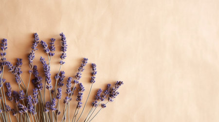 Generative AI : Dried lavender flowers stock photoの素材