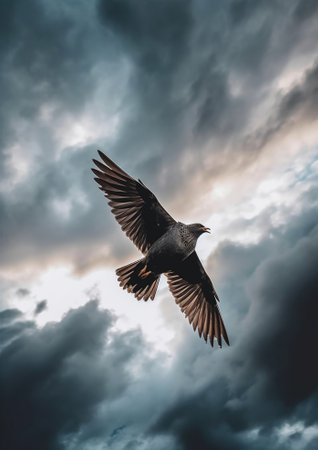 Generative AI : seagull flying alone on a stormy skyの素材