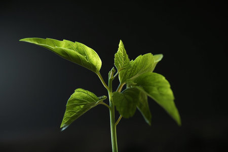 Generative AI : Green sprout detailの素材