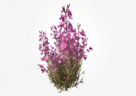 Generative AI : Cleome viscosa Linnの素材