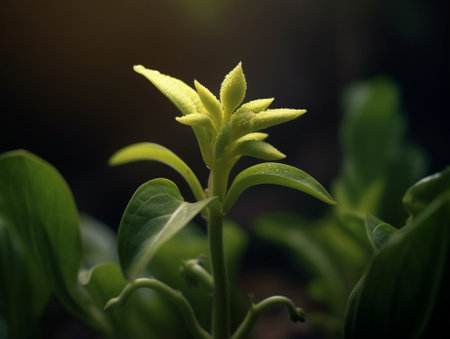 Generative AI : Green plant growing close upの素材