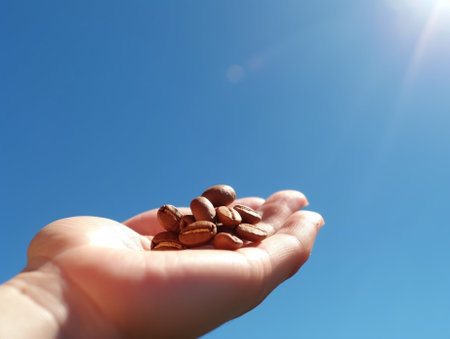 Generative AI : arabica coffee bean on woman handの素材