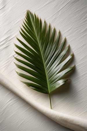 Generative AI : Palm leaf on natural linen textile background Top view Copy spaceの素材