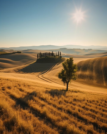 Generative AI : Wavy fields in Tuscany at sunrise Italy Natural outdoor seasonal autumn background with sun shiningの素材