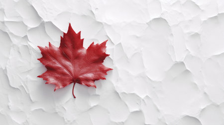 Generative AI : Canadian flag on the wall in empty room studio backgroundの素材