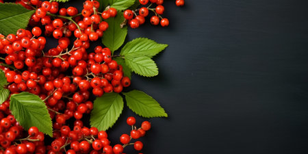 Generative AI : Red autumn berries of Pyracantha with green leaves natural seasonal fall backgroundの素材
