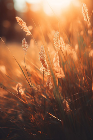 Generative AI : Autumn abstract background with meadow plant at sunset vintage retro imageの素材