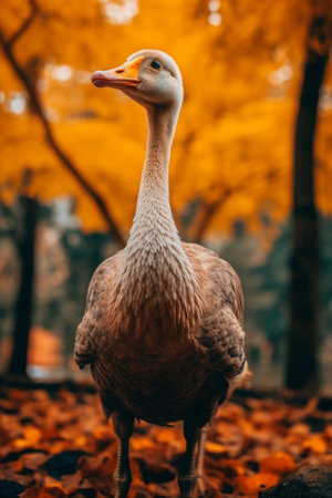 Generative AI : Barheaded goose Anser indicus single bird near the autumn lake animal natural backgroundの素材