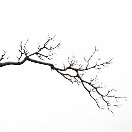 Generative AI : Branch of maple tree in spring timeの素材