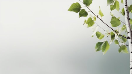 Birch Leaves Background with Buds : Generative AIの素材