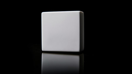 White Square Ceramic Dish isolated on a Black background : Generative AIの素材
