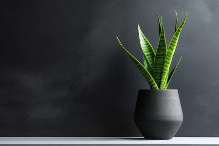 Turmeric is a flowering plant Curcuma longa of the ginger family Stylish green plant in ceramic pots on wooden vintage stand on background of gray wall Modern room decor  : Generative AIの素材
