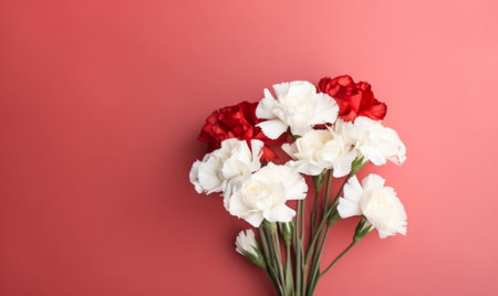 Bouquet of carnation flowers white pale pink color Spring background Clove bunch present for Mothers Day : Generative AIの素材