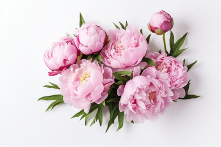 Closeup of flowers Pink peonies Beautiful peony flower for catalog or online store Floral shop concept Beautiful fresh cut bouquet Flowers delivery : Generative AIの素材