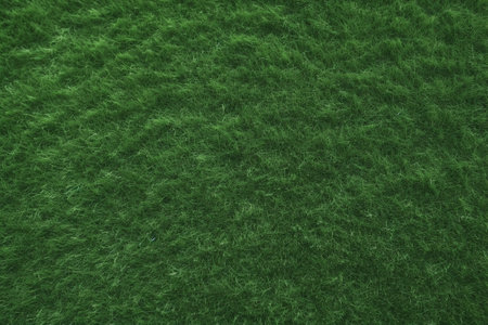 Green grass field texture top view artificial grass use us sport stadium : Generative AIの素材