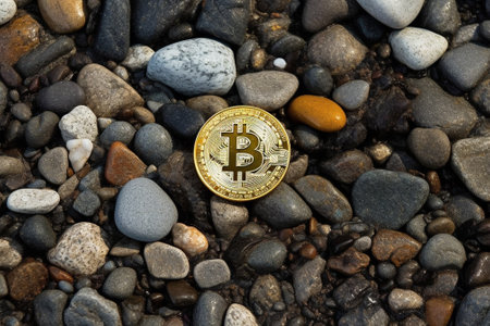 bitcoin on the stone background : Generative AIの素材