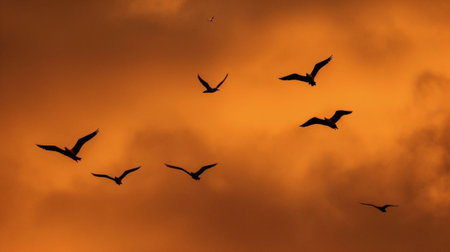 Birds flying at the sunset : Generative AIの素材