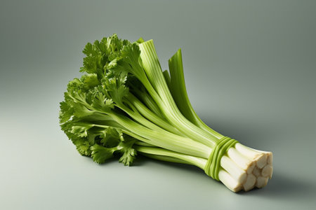green onion and lettuce : Generative AIの素材