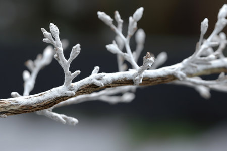 Detailed tree branche in spring : Generative AIの素材