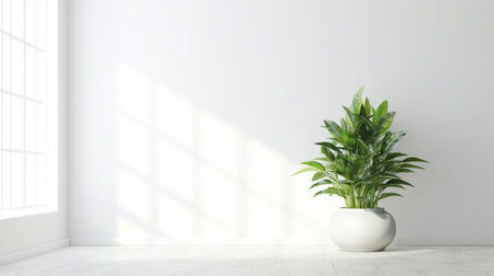 Green plant against white room background Copy space : Generative AIの素材