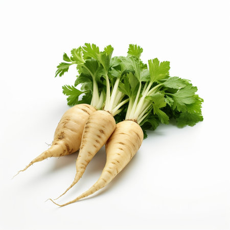 Organic celery root celery and leaves of celery : Generative AIの素材