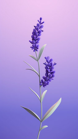 lavender flower : Generative AIの素材