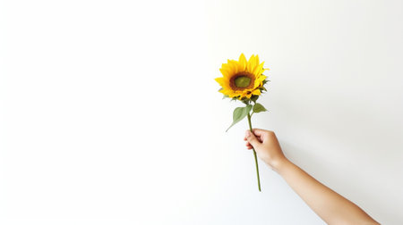Discontent bearded adult man holds bouquet of sunflowers napkin for runny nose suffers from allergy has symptoms of hay fever or rhinitis poses sideways against white bac : Generative AIの素材