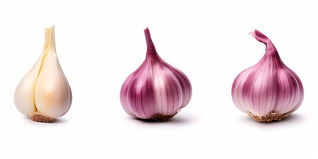 Garlic bulb isolated. Garlic on white background. Purple garlic bulb collection. Set with clipping path. : Generative AIの素材