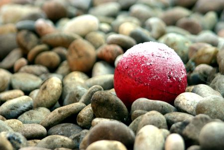 Frosted dog ballの写真素材