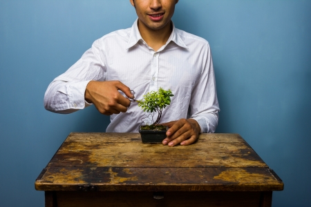 Young man is pruning his bonsai treeの写真素材